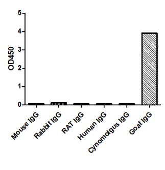 Enzyme-linked Immunoabsorbent Assay