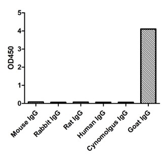 Enzyme-linked Immunoabsorbent Assay