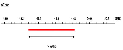 Hybridization position of the probes on the chromosome: