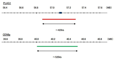 Hybridization position of the probes on the chromosome.