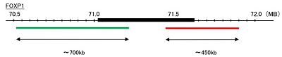 Hybridization position of the probes on the chromosome: