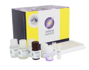 cortisol elisa kit