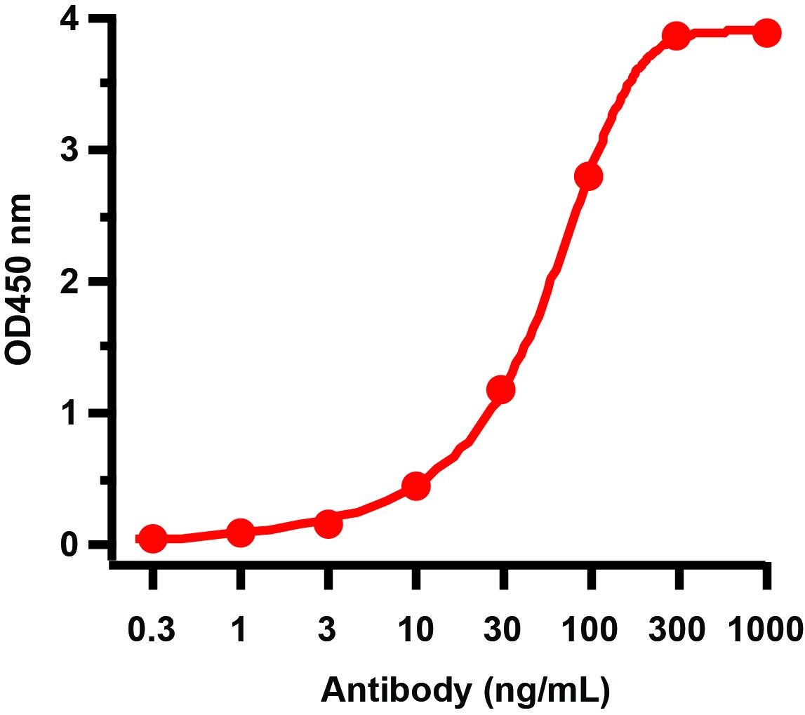 GAG Antibody (HRP)