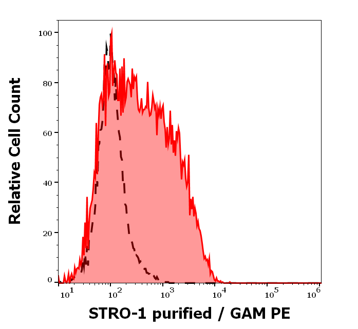 STRO-1 antibody