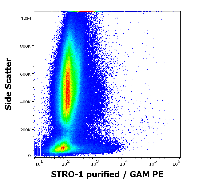 STRO-1 antibody