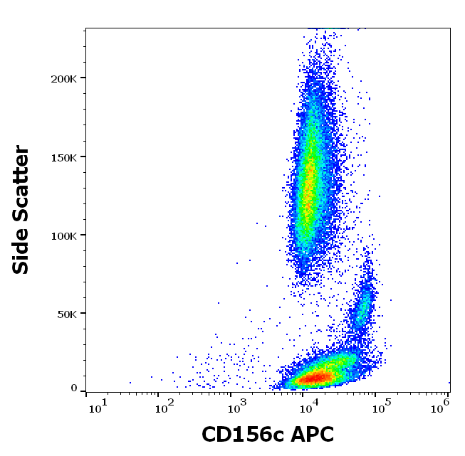 CD156c Antibody (APC)