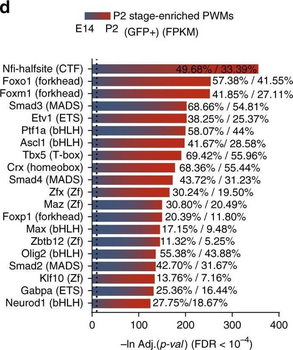 GFP antibody