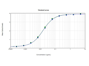 Rabbit IgG (H&L) antibody