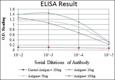 BID Antibody