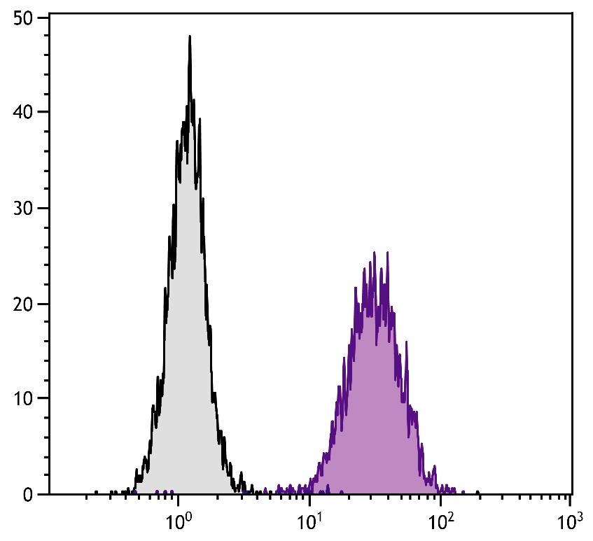 ITGAV Antibody (PE)