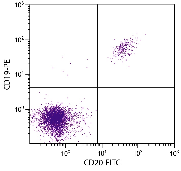 MS4A1 Antibody (FITC)