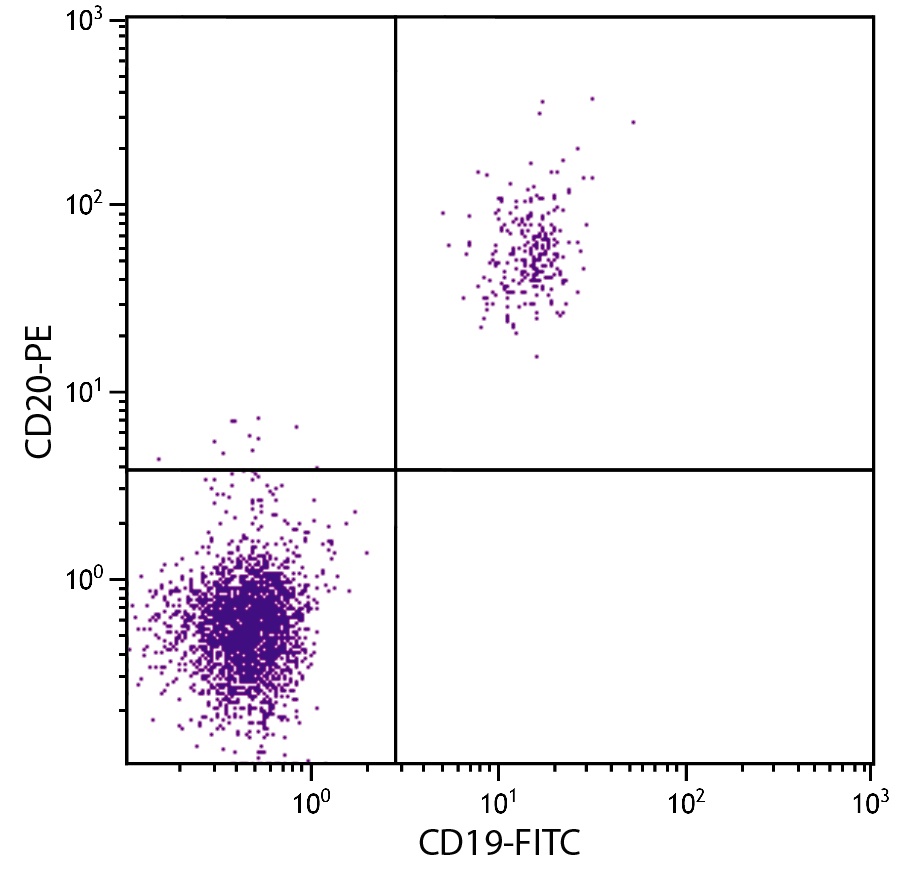 MS4A1 Antibody (PE)