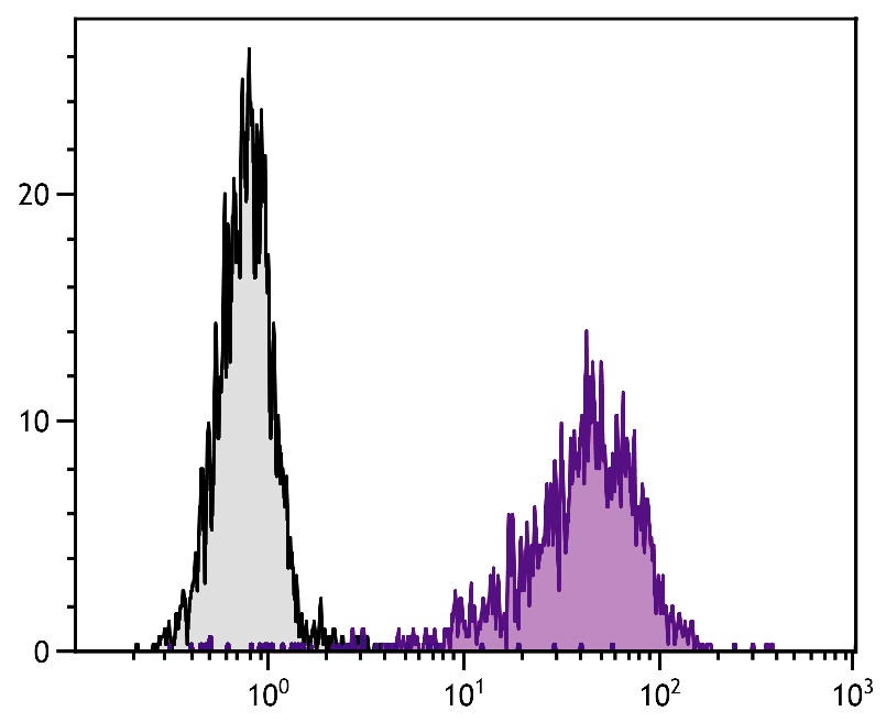 VCAM1 Antibody (PE)