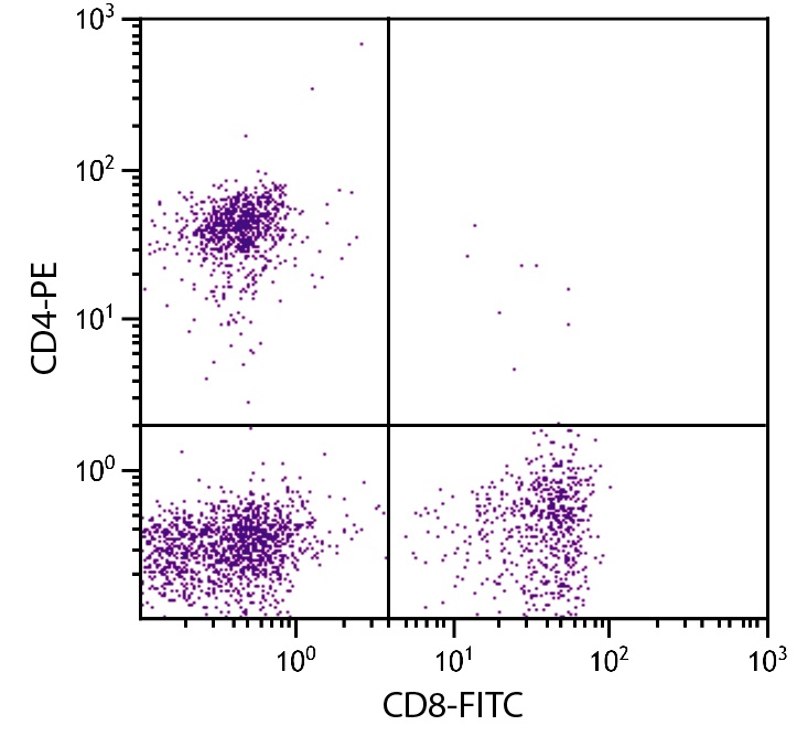 CD4 Antibody (PE)