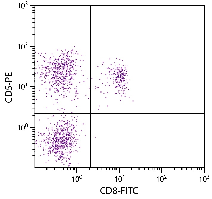 CD5 Antibody (PE)