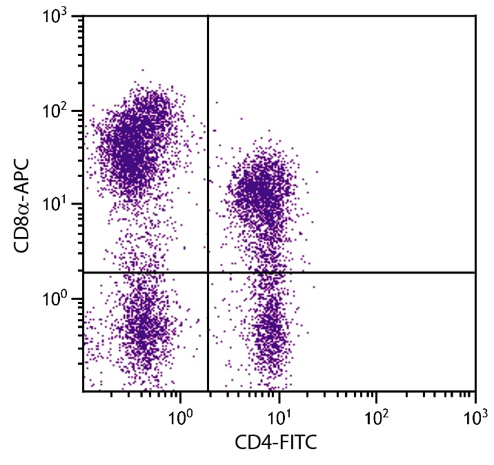 CD8A Antibody (APC)