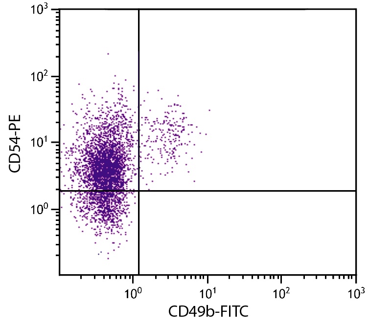 Icam1 Antibody (PE)