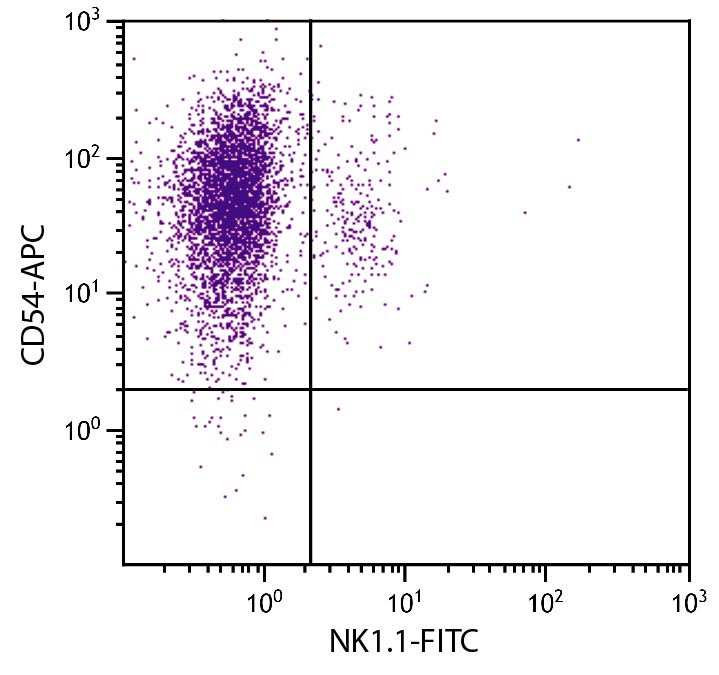 Icam1 Antibody (APC)