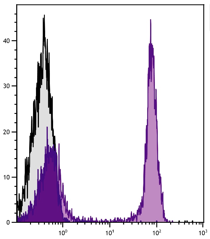 Ptprc Antibody (APC/Cy7)