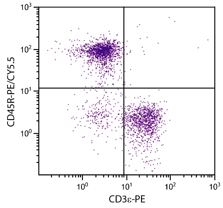 Ptprc Antibody (PE/Cy5.5)