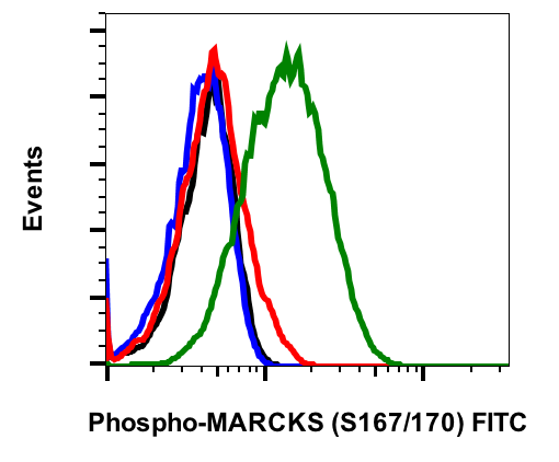 Phospho-MARCKS (Ser167/170) (C9) rabbit mAb FITC conjugate Antibody