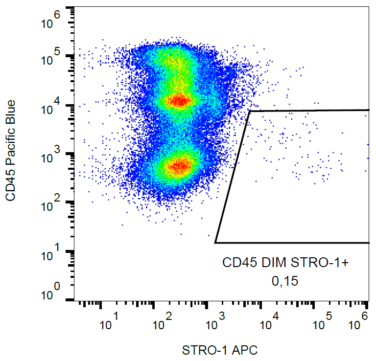 STRO-1 antibody (APC)