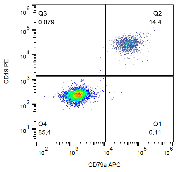 CD79a antibody