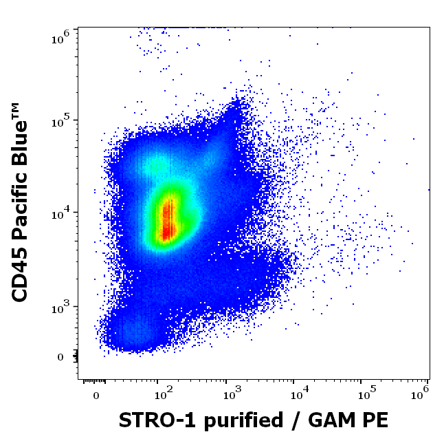 STRO-1 antibody