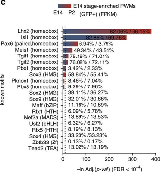 GFP antibody