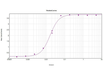 Rat IgM antibody (Peroxidase)