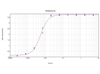 Donkey IgG (H&L) antibody (Peroxidase)