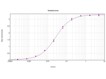 Donkey IgG (H&L) antibody