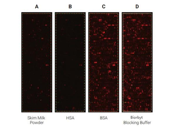 Blocking Buffer For Fluorescent Western Blotting