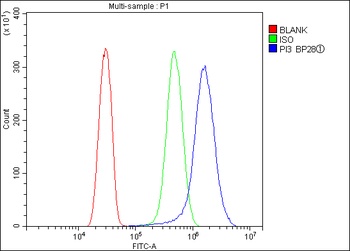 Elafin/Skalp/PI3 Antibody