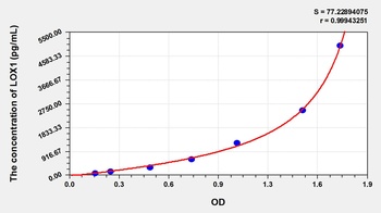 Rabbit LOX1 ELISA Kit