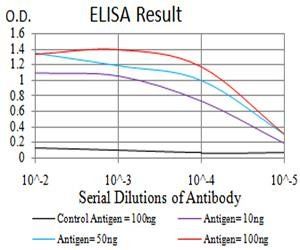 C3C Antibody