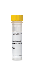 Recombinant Human TNF-α