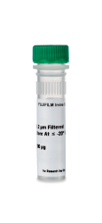 Recombinant Human FGF-acidic / FGF-1