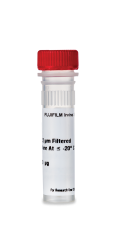 Recombinant Human CD40-Ligand