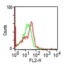 FACS analysis of CD56 on human Monocytes using CD56 Monoclonal Antibody (SPM128)