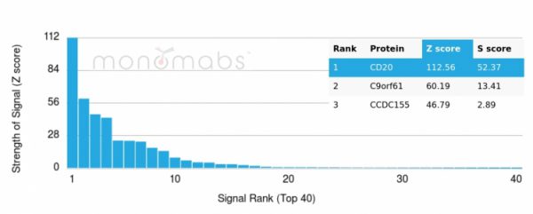 Analysis of Protein Array containing more than 19,000 full-length human proteins using CD20 Monospecific Recombinant Mouse Monoclonal Antibody (rIGEL/773). Z- and S- Score: The Z-score represents the strength of a signal that a monoclonal antibody (MAb) (in combination with a fluorescently-tagged anti-IgG secondary antibody) produces when binding to a particular protein on the HuProtTM array. Z-scores are described in units of standard deviations (SD&apos;s) above the mean value of all signals generated on that array. If targets on HuProtTM are arranged in descending order of the Z-score, the S-score is the difference (also in units of SD&apos;s) between the Z-score. S-score therefore represents the relative target specificity of a MAb to its intended target.  A MAb is considered to specific to its intended target, if the MAb has an S-score of at least 2.5. For example, if a MAb binds to protein X with a Z-score of 43 and to protein Y with a Z-score of 14, then the S-score for the binding of that MAb to protein X is equal to 29.