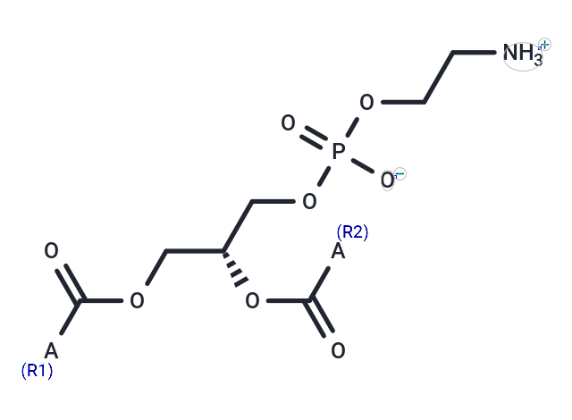 Phosphatidylethanolamine from bovine