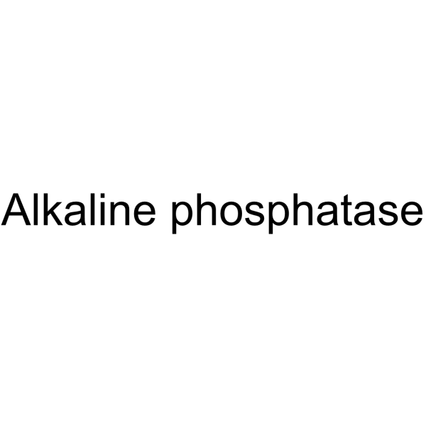 Alkaline Phosphatase