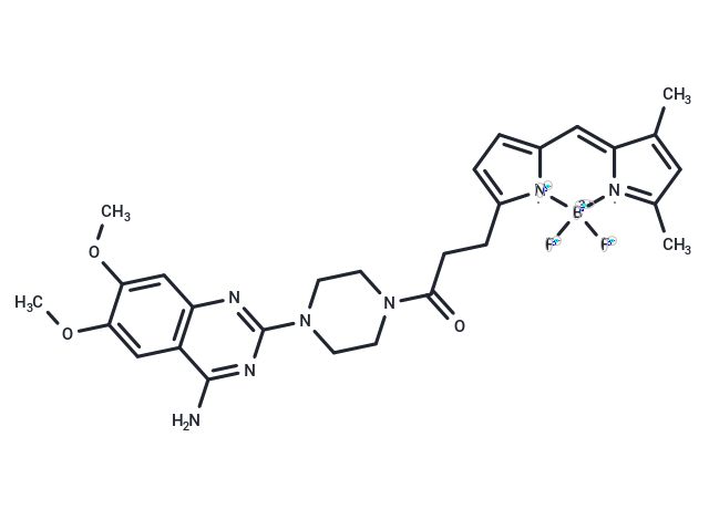 BODIPY FL prazosin