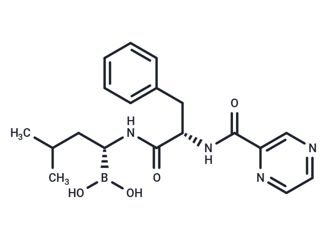 Bortezomib