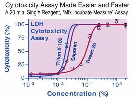 LDH Cytotoxicity Assay Kit