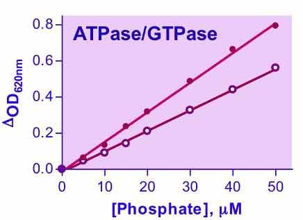 ATPase Assay Kit