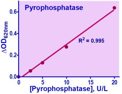 Pyrophosphatase Assay Kit