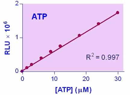 ATP Assay Kit