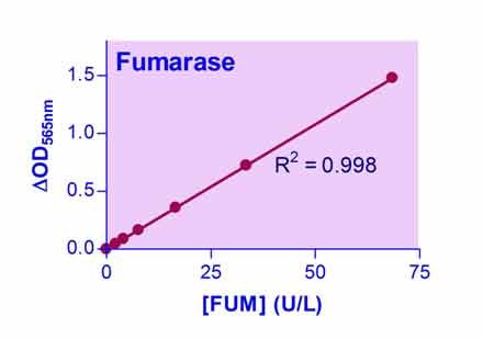 Fumarase Assay Kit